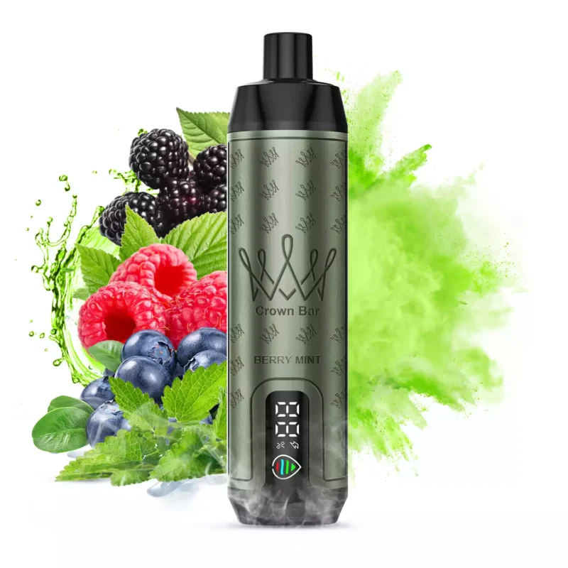 AUPO F18 SALFAKHAR 15000 Puffs Bildschirm Display Einweg Vape Pen Großhandel Origina Deutschland Warehouse 2024 Neue Unterstützung OEMODM 3