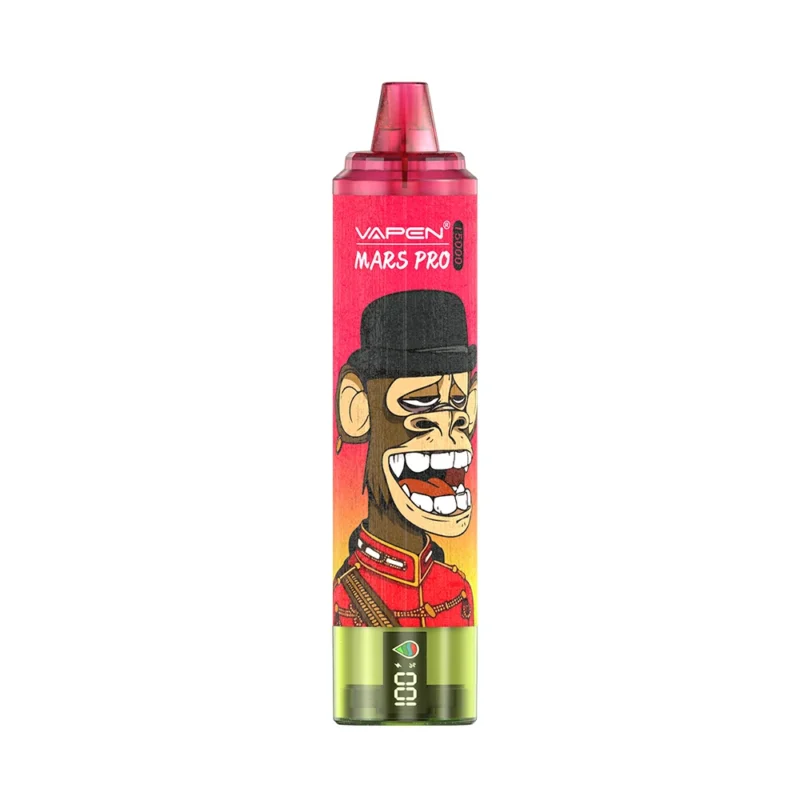 Großhandel VAPEN MRS PRO 15000 Puffs Einweg Vape Pen 24ml 860mAh wiederaufladbare 2 Nikotin mit LED-Anzeige direkt aus der Fabrik 2