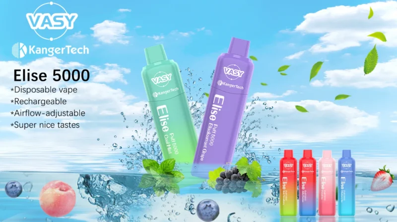 Vasy Elise 5000 Puffs Dispositivo de Vape Descartável Recarregável de Alto Desempenho