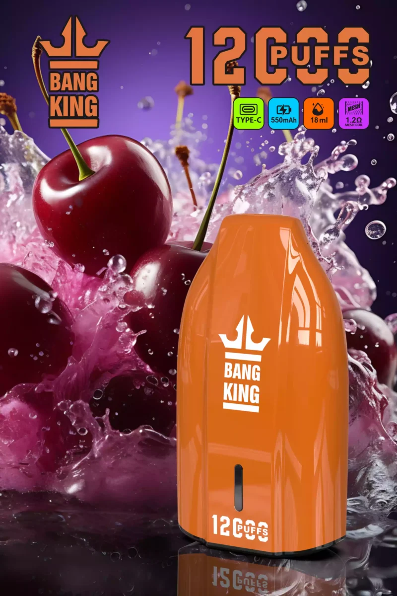 Brand New Offering BANG KING 12000 Puffs Disposable Vapes 600mah Rechargeable Low Nicotine Bulk Buy Wholesale 1 scaled