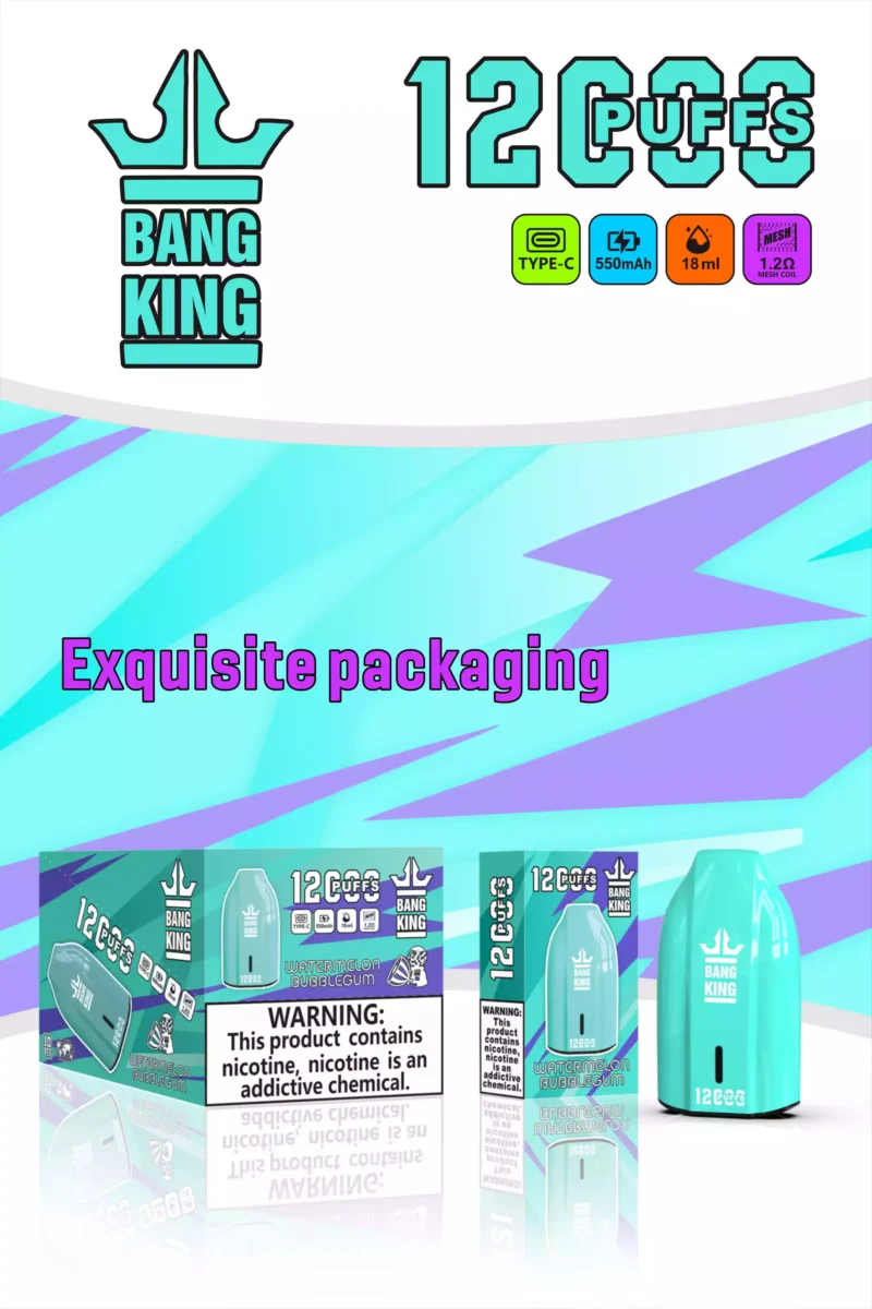 Brand New Offering BANG KING 12000 Puffs Disposable Vapes 600mah Rechargeable Low Nicotine Bulk Buy Wholesale 10 scaled