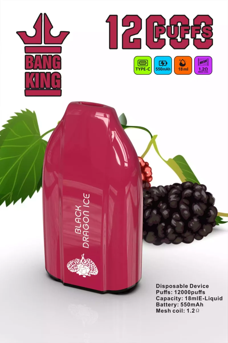Brand New Offering BANG KING 12000 Puffs Disposable Vapes 600mah Rechargeable Low Nicotine Bulk Buy Wholesale 2 scaled