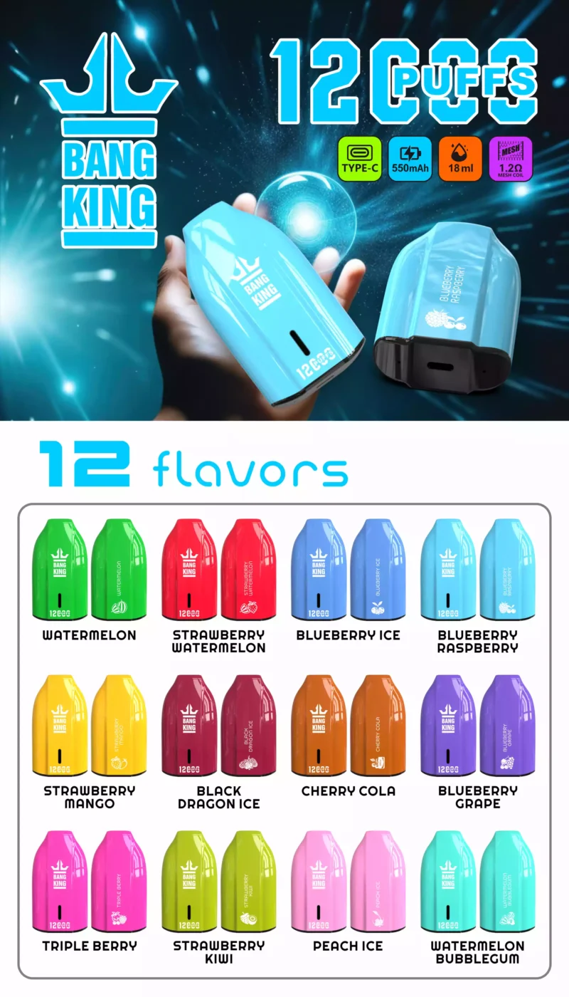 Brand New Offering BANG KING 12000 Puffs Disposable Vapes 600mah Rechargeable Low Nicotine Bulk Buy Wholesale (4)
