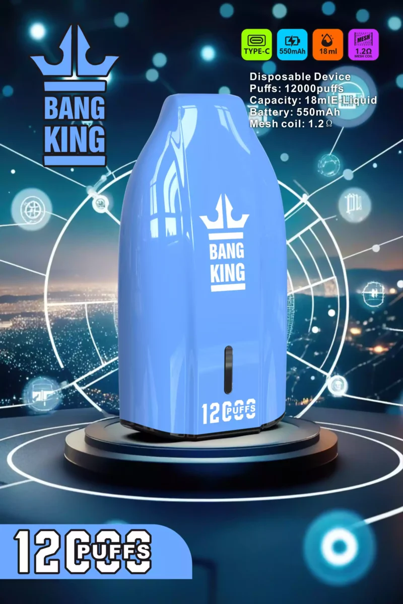 Brand New Offering BANG KING 12000 Puffs Disposable Vapes 600mah Rechargeable Low Nicotine Bulk Buy Wholesale (6)