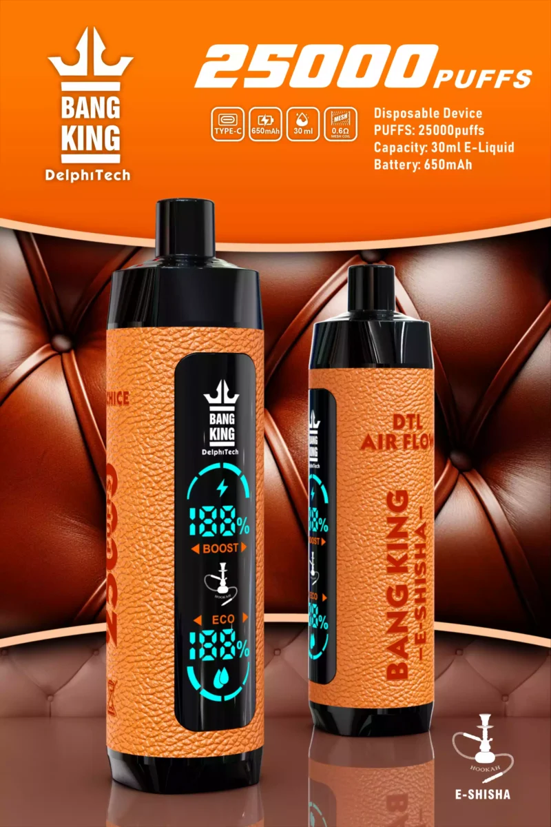 Newly Launched bang king 25000puffs Leather Case Disposable Vape Low Nicotine 650mah Battery Wholesale 6 scaled