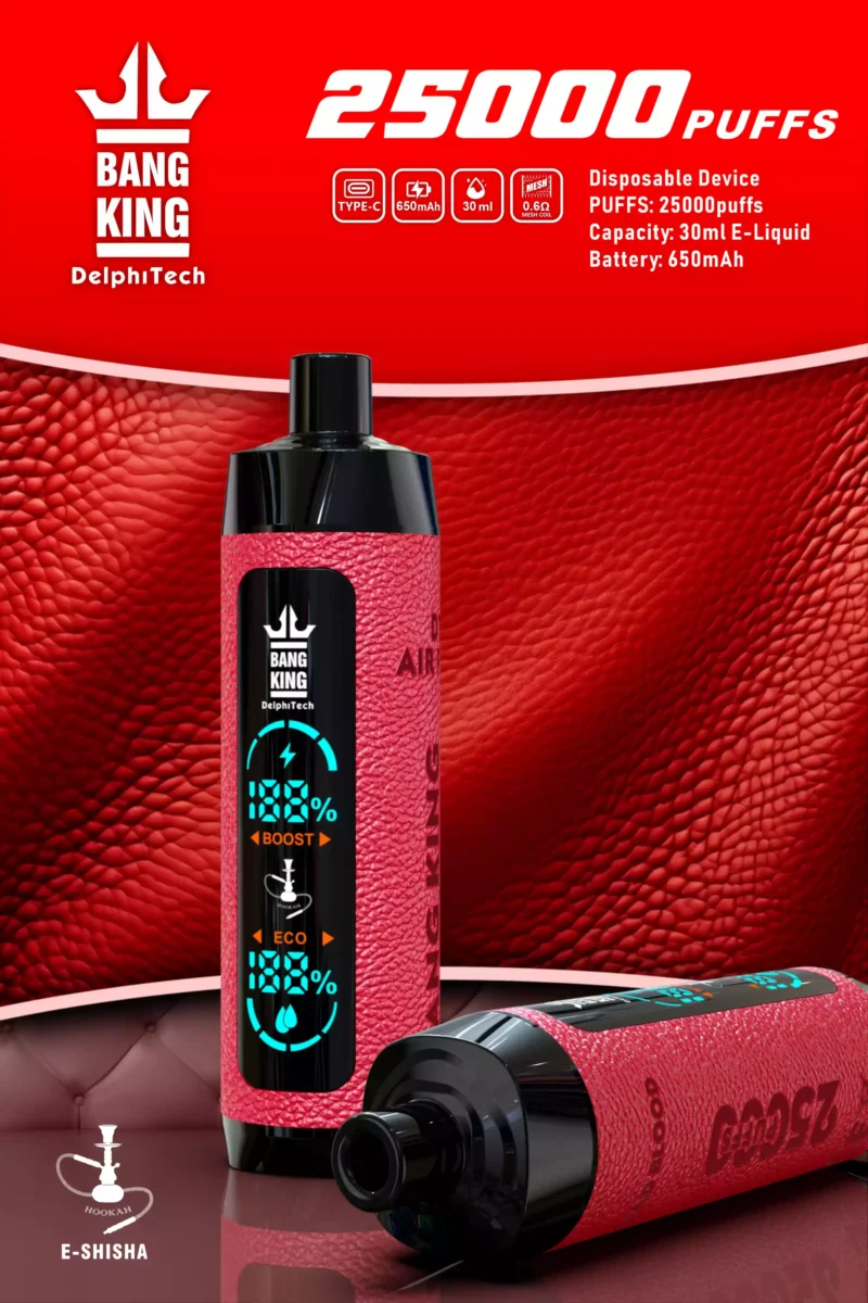 Newly Launched bang king 25000puffs Leather Case Disposable Vape Low Nicotine 650mah Battery Wholesale 7 scaled