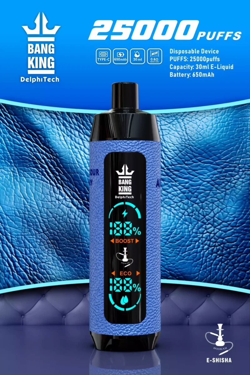 Nieuw gelanceerde bang king 25000puffs Lederen Hoesje Wegwerp Vape Lage Nicotine 650mah Batterij Groothandel 8 geschaald