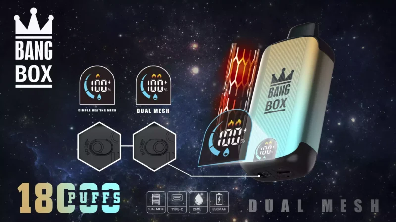 Bang Box 18000 Puffs Premium New Product LED Display Rechargeable Disposable Vape with Enhanced Performance (16)